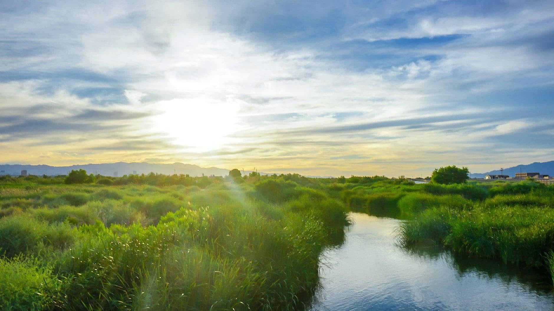 Sun breaking over a green marsh river at golden hour